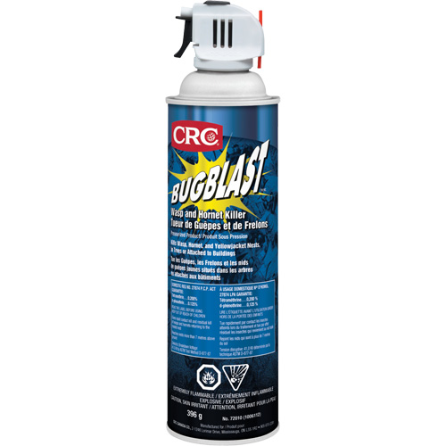 Insecticide Bug Blast, 397 g, &agrave; base de solvant OCP Construction Supplies