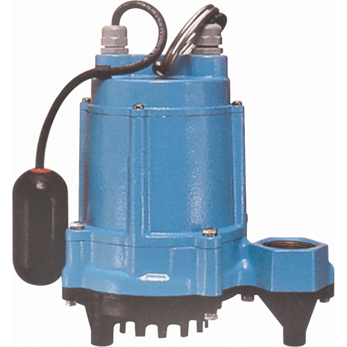 Pompes de puisard/pour effluents pour temp&eacute;ratures &eacute;lev&eacute;es, 50 gal./h, 115 V, 10,1 A, 1/3 CV OCP Construction Supplies