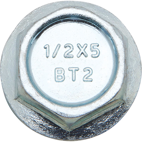 Wedge Bolts, Carbon Steel, 1/2" x 2" OCP Construction Supplies