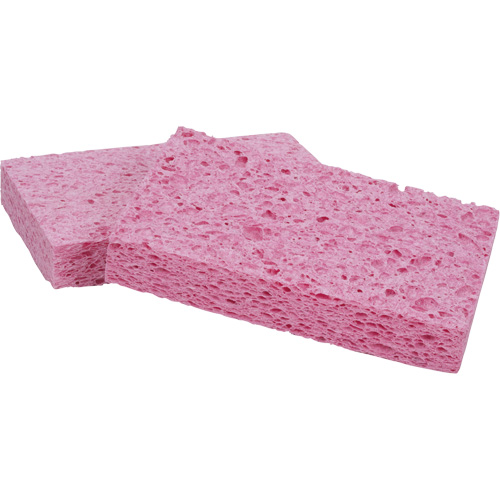&eacute;ponge Scotch-Brite, Cellulose/Coulis/&agrave; r&eacute;curer, 3-2/3" la x 6" l OCP Construction Supplies