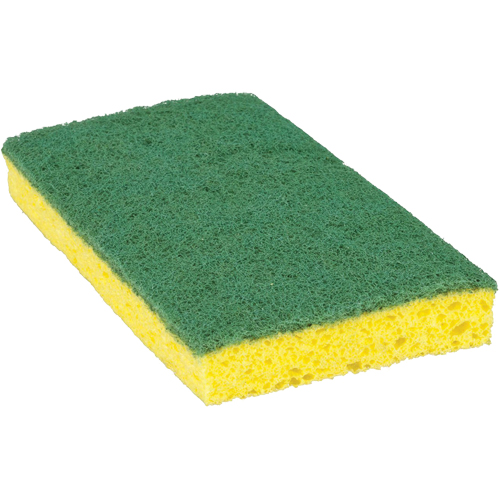 &eacute;ponge &agrave; r&eacute;curer pour travaux moyens Scotch-Brite, &agrave; r&eacute;curer, 3-3/5" la x 6-1/10" l OCP Construction Supplies