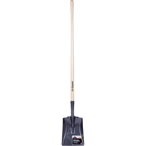 Pelle carr&eacute;e  Pro, Bois, Lame Acier durci, Manche en Droit, Longueur 48" OCP Construction Supplies