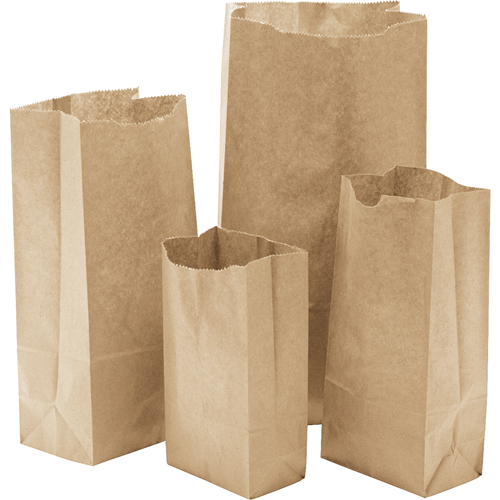 Paper Bags, Paper, 6" W x 11-0/0" L OCP Construction Supplies