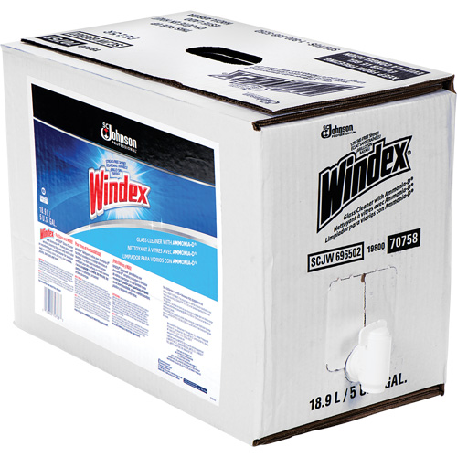 Nettoyant pour vitres Windex avec Ammoniac-D, 5 gal., Sac OCP Construction Supplies