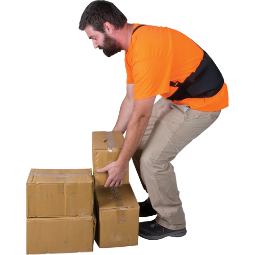 Support lombaire, &eacute;lastique, T-Grand OCP Construction Supplies
