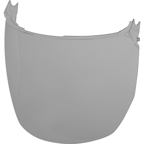 Lentilles de remplacement d&eacute;cran facial, Polycarbonate, Teinte Grise/fum&eacute;e OCP Construction Supplies