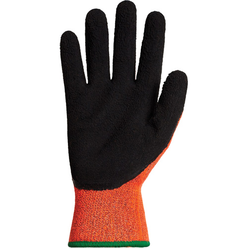 Gants d'hiver r&eacute;sistants &agrave; la coupe Dexterity TKTAGLX, Taille T-Grand, Calibre 13, Rev&ecirc;tement Latex, Enveloppe en TenActiv, ASTM ANSI niveau A3 OCP Construction Supplies