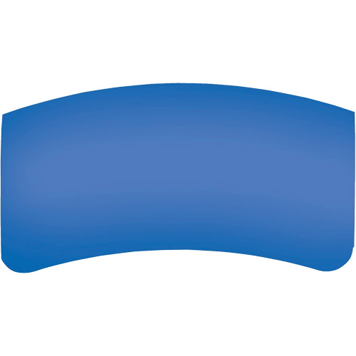 Lentille ext&eacute;rieure Bullard GenVX PETG OCP Construction Supplies