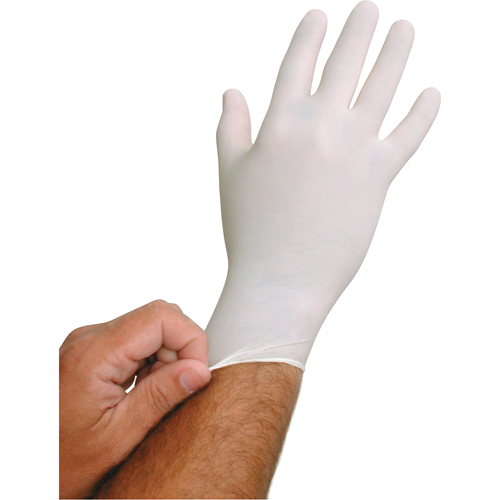 QRP BioTek&reg; Disposable Gloves, Large, Latex, 6-mil, Powder-Free, White OCP Construction Supplies