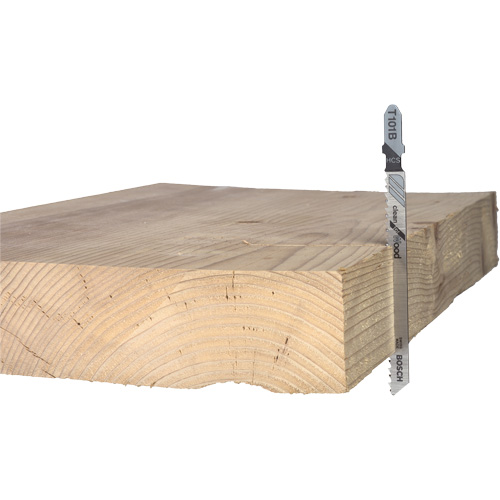 Lame de scie alternative pour la coupe du bois, Acier &agrave; haute teneur en carbone, Tige en T, 4" lo, 10 dents par pouce OCP Construction Supplies