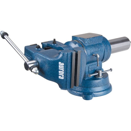 &eacute;tau d'&eacute;tabli &agrave; usages multiples, Largeur des m&acirc;choires 5", Profondeur de la gorge 3-1/10" OCP Construction Supplies