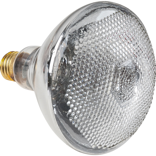 Lampes &agrave; incandescence &eacute;conomiques OCP Construction Supplies