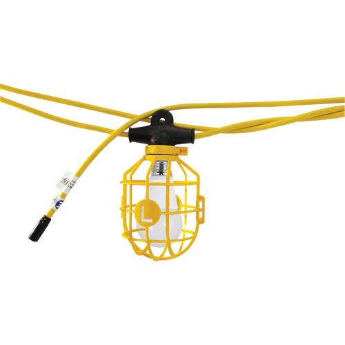 Chaînes de lumi&egrave;res DEL, 10 Lumi&egrave;res, 1200" lo, Boîtier en Plastique OCP Construction Supplies