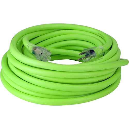 Cordon rallonge industriel Flexzilla Pro, Toutes saisons, SJTW, AWG 10/3, 15 A, 50' OCP Construction Supplies