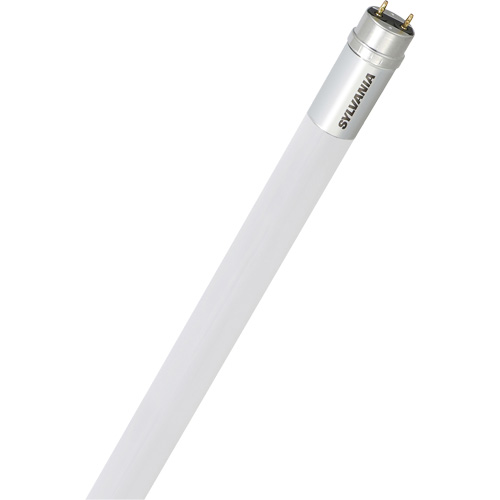 Ampoule DEL en verre givr&eacute; SubstiTUBE, 15 W, T8, 4100 K, 48" l OCP Construction Supplies