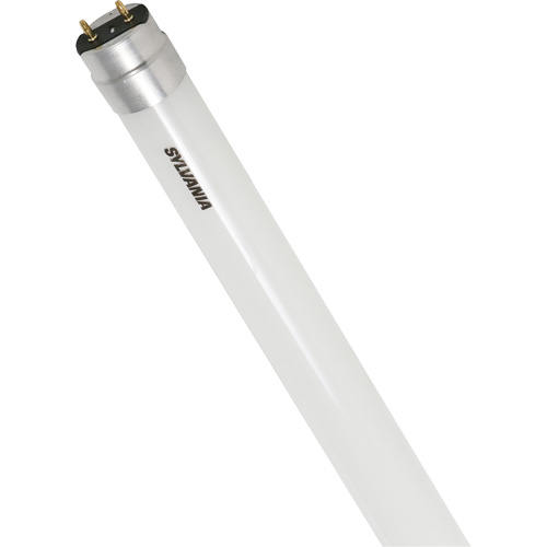 Ampoule DEL en verre givr&eacute; SubstiTUBE, 12 W, T8, 5000 K, 48" l OCP Construction Supplies