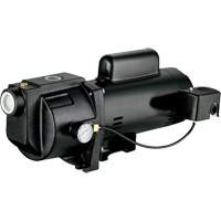 Dual Voltage Cast Iron Shallow Well Jet Pump, 115 V/230 V, 1260 GPH, 1 HP OCP Construction Supplies