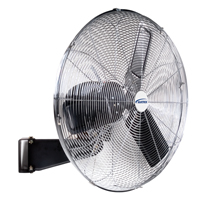 Non-Oscillating Wall Fan, Industrial, 2 Speed, 30" Diameter OCP Construction Supplies