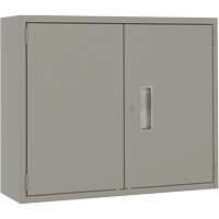 Armoire murale, Acier, 2 Tablettes, 30" h x 36" la x 12" P, Gris OCP Construction Supplies