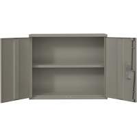 Armoire murale, Acier, 2 Tablettes, 30" h x 36" la x 12" P, Gris OCP Construction Supplies