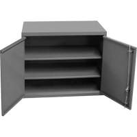 Armoire murale, 27" h x 13-11/16" la x 35-7/8" p, 2 tablettes, Acier, Gris OCP Construction Supplies