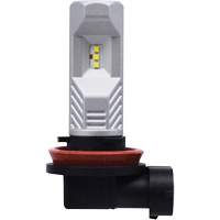 Ampoule pour feu avant H8, DEL, 12,8 W/9 W, Blanc OCP Construction Supplies