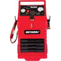 CarbonClean 245 Gasoline Engine System OCP Construction Supplies
