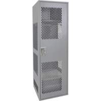 Gear Locker with Door, Steel, 24" W x 24" D x 72" H, Grey OCP Construction Supplies