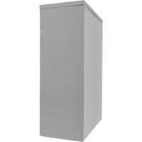 Armoire de rangement &agrave; hauteur de comptoir, Acier, 2 Tablettes, 42" h x 30" la x 15" P, Gris OCP Construction Supplies