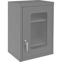 Armoire de rangement murale avec portes transparentes, 26-15/16" h x 18-1/8" la x 13-11/16" p, 2 tablettes, Acier, Gris OCP Construction Supplies