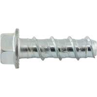 Wedge Bolts, Carbon Steel, 1/2" x 2" OCP Construction Supplies
