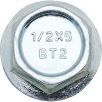 Wedge Bolts, Carbon Steel, 1/2" x 2" OCP Construction Supplies
