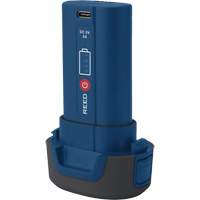 Batterie de remplacement R2170 3,7 V OCP Construction Supplies