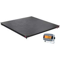 DEFENDER 3000 Floor Scale, 2500 lbs. Capacity, 48" W x 48" L OCP Construction Supplies