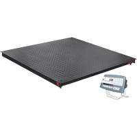 DEFENDER 5000 Floor Scale, 2500 lbs. Capacity, 48" W x 48" L OCP Construction Supplies
