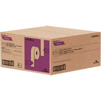Papier hygi&eacute;nique Pro Select, Rouleau G&eacute;ant, 2 Pli, Longueur 500', Blanc OCP Construction Supplies