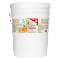 Nettoyant neutre, 20 L, Seau OCP Construction Supplies