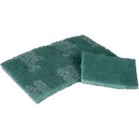 Tampon de r&eacute;curage, 3" lo x 4-1/2" la OCP Construction Supplies