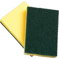 &eacute;ponge avec tampon &agrave; r&eacute;curer, &agrave; r&eacute;curer, 4" la x 6" l OCP Construction Supplies