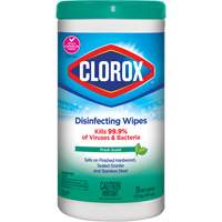 Lingettes d&eacute;sinfectantes, 75 lingettes OCP Construction Supplies