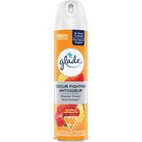 Assainisseur dair, Brise exotique, Canette a&eacute;rosol OCP Construction Supplies