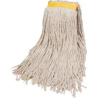Wet Floor Mops