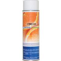 D&eacute;sodorisant, Agrumes, Canette a&eacute;rosol OCP Construction Supplies