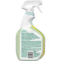 Nettoyant d&eacute;sinfectant CloroxPro Clorox EcoClean, 946 ml, Bouteille &agrave; g&acirc;chette OCP Construction Supplies