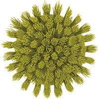 HyDrive Round Drill Brush, Extra Stiff Bristles, 3-1/10" Long, Yellow OCP Construction Supplies