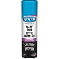 Pro Line Instant Shine for Plastic Surfaces, 11 oz., Aerosol Can OCP Construction Supplies