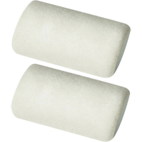 Manchons pour rouleau de calibre professionnel, Nap 9,525 mm (3/8"), 101,6 mm (4") l OCP Construction Supplies