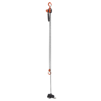Mini palan &agrave; levier, Lev&eacute;e 15', Cabacit&eacute; 500 lb (0,25 tonne), Chaîne en Acier OCP Construction Supplies