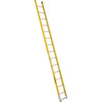 Single Section Straight Ladder - 6100 Series, 14', Fibreglass, 375 lbs., CSA Grade 1AA OCP Construction Supplies