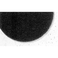 7300 Pro-Strip Pads, 17", Stripping, Black OCP Construction Supplies